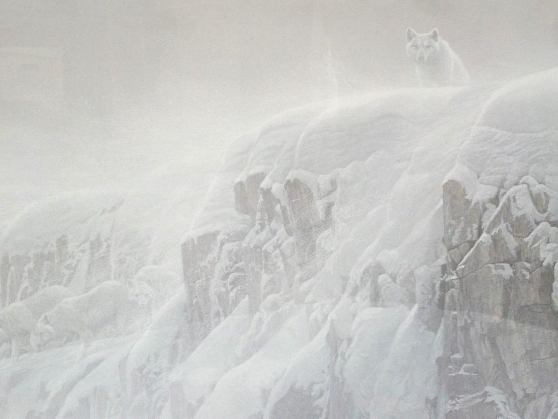 Robert Bateman "Arctic Cliff White Wolves" Signed (1 of 4)