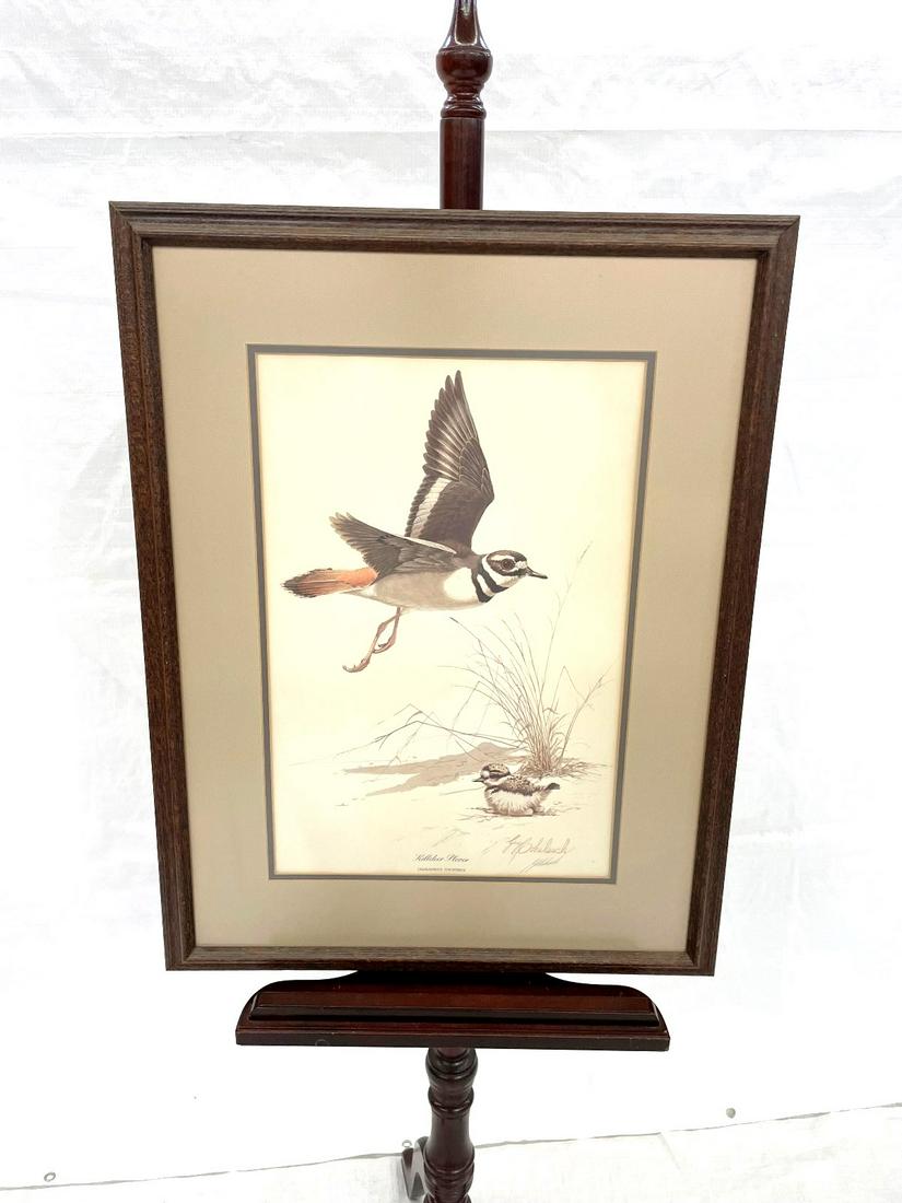 Guy Coheleach (American b.1933) "Killdeer Plover" (1 of 4)