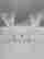 item-120897772=2