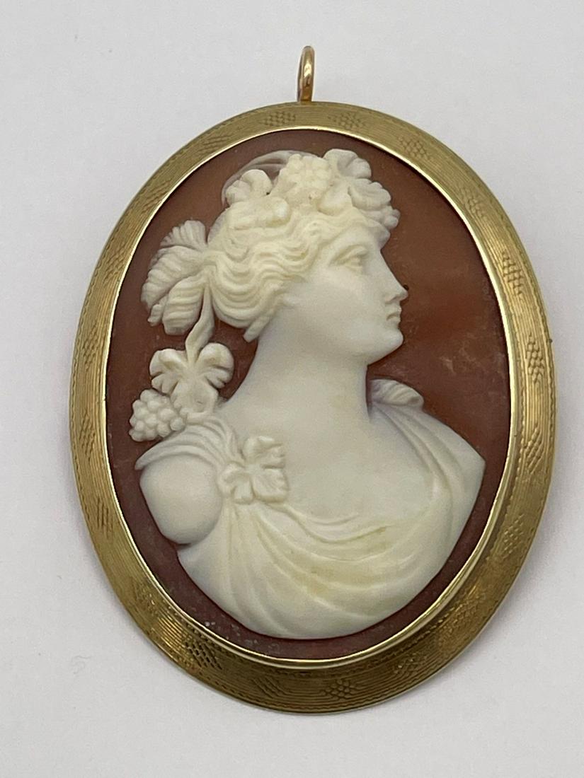 14k Gold Shell Cameo Brooch (1 of 3)
