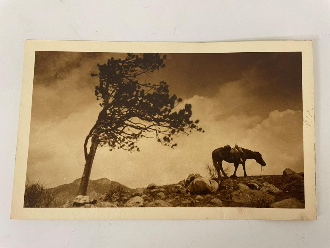 Enos Mills Post Card Size Photograph No. 410 (1 of 3)