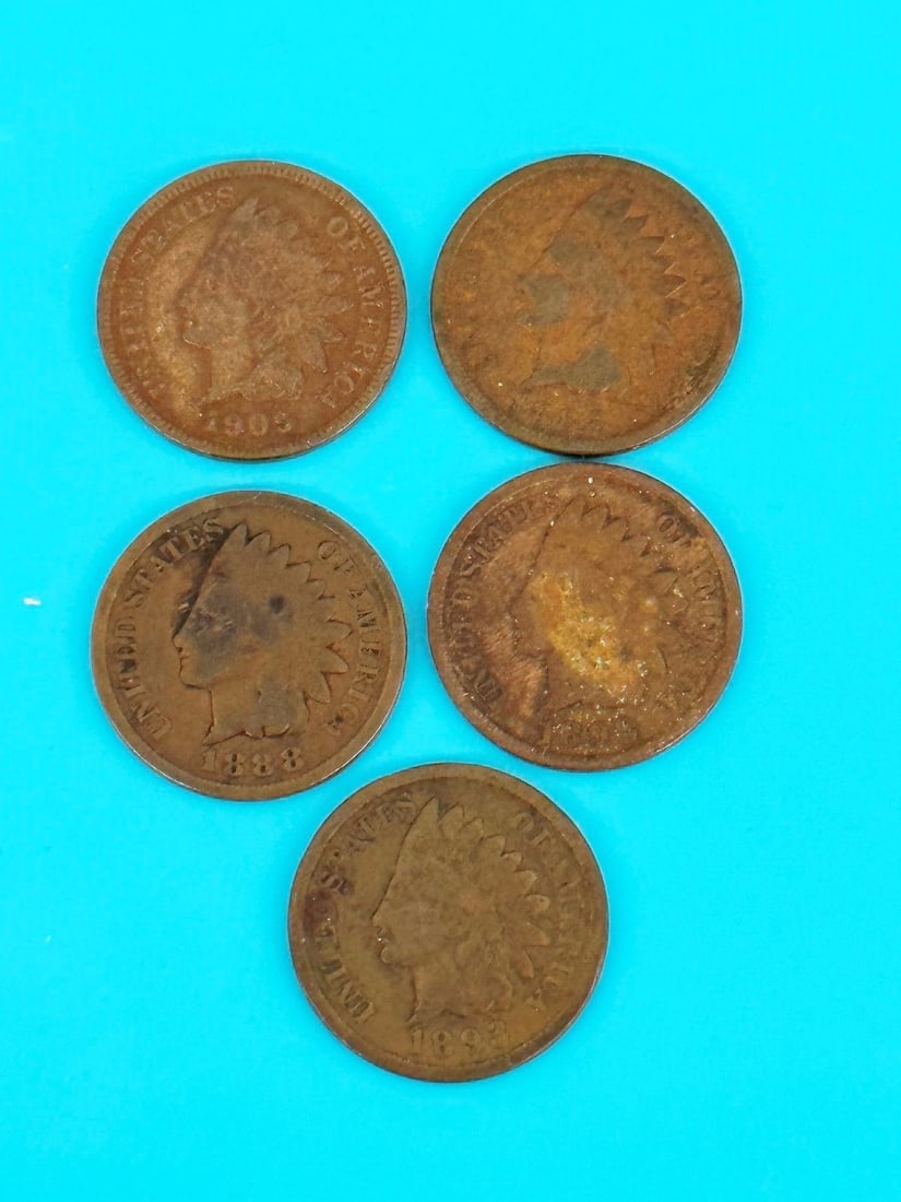 (5) Indian Head Pennies (1 of 7)