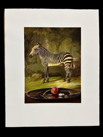 Sherrie Wolf Print Club of Cleveland Zebra 2011 Photogravure Aquatint Hand Coloring