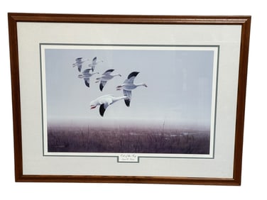 Lynn R. Kaatz Duck Lithograph "Out of the Fog"