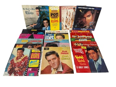 (19) Elvis Presley Vinyl Albums