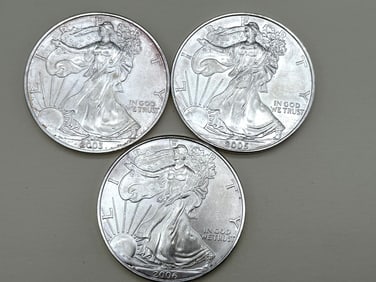 (3) Silver American Eagles: 2003, 2005, 2006