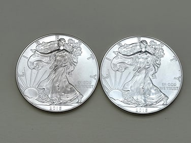 (2) 2015 Silver American Eagles BU