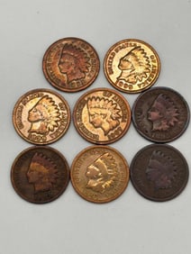 (8) Indian Head Pennies