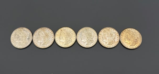 (6) 1921 Morgan Silver Dollars