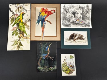Group of Bird Paintings