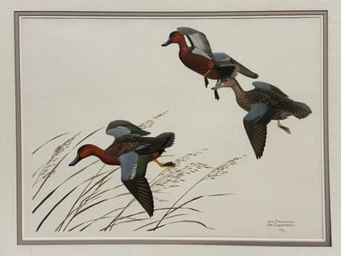 William Zimmerman Lithograph "Wood Ducks"