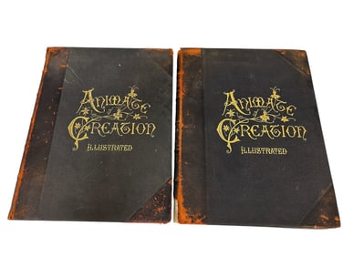 (2) Volume Set Animate Creation "Our Living World" J.G. Wood 1898