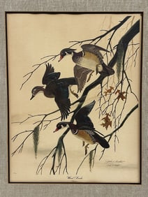 John Ruthven Lithograph "Wood Ducks"