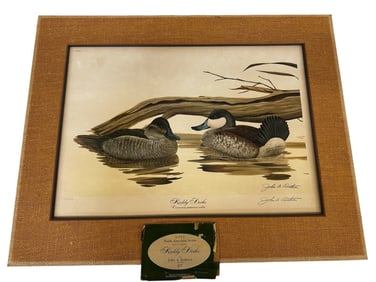 John Ruthven Lithograph "Ruddy Ducks"