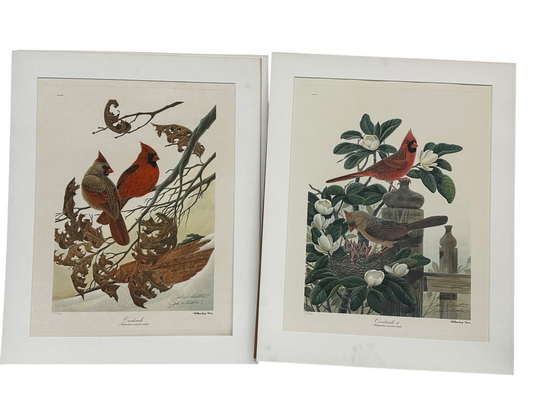 (2) John Ruthven Signed Lithographs Cardinals, Cardinals III (1 of 5)