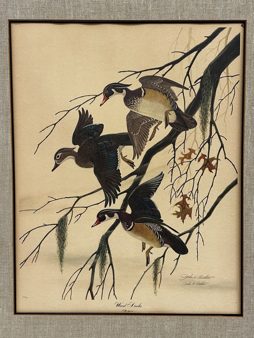 John Ruthven Lithograph "Wood Ducks" (1 of 4)