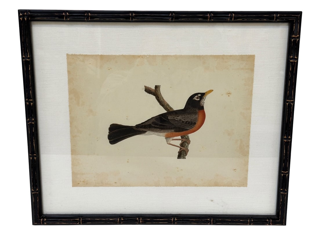 Hand Painted Robin Bird on Paper: Hand Painted Robin Bird on Paper: Matted and framed measuring 17.25 x 14.25".