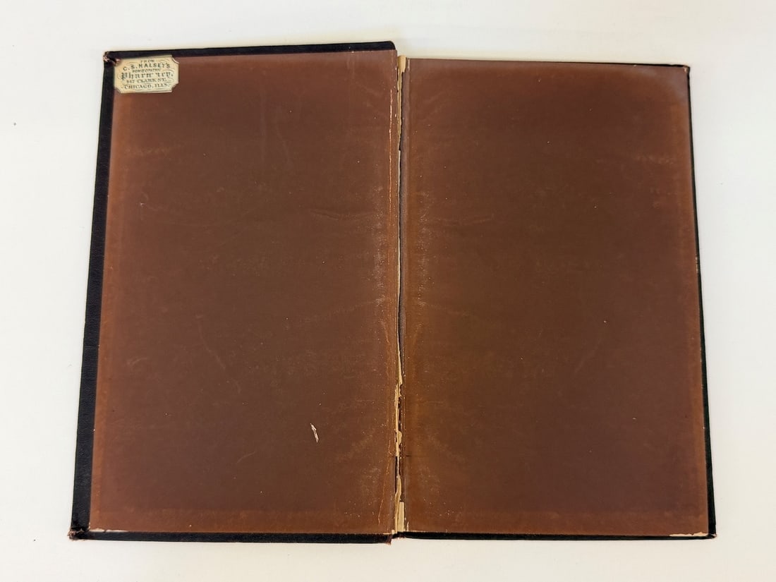 C.S. Eldridge M.D. "Self-Enervation" 1869 First Edition - 2
