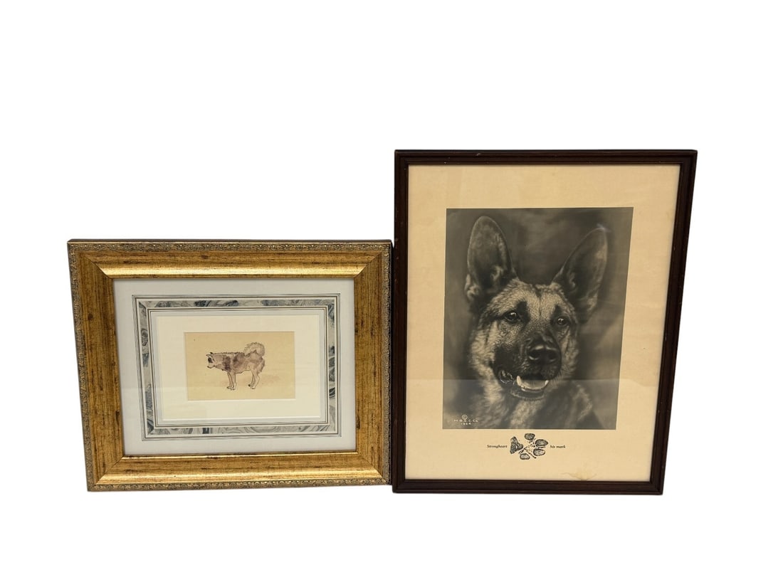 Strongheart German Shepherd 1924 Photograph, Pen and Ink Drawing Husky (1 of 3)