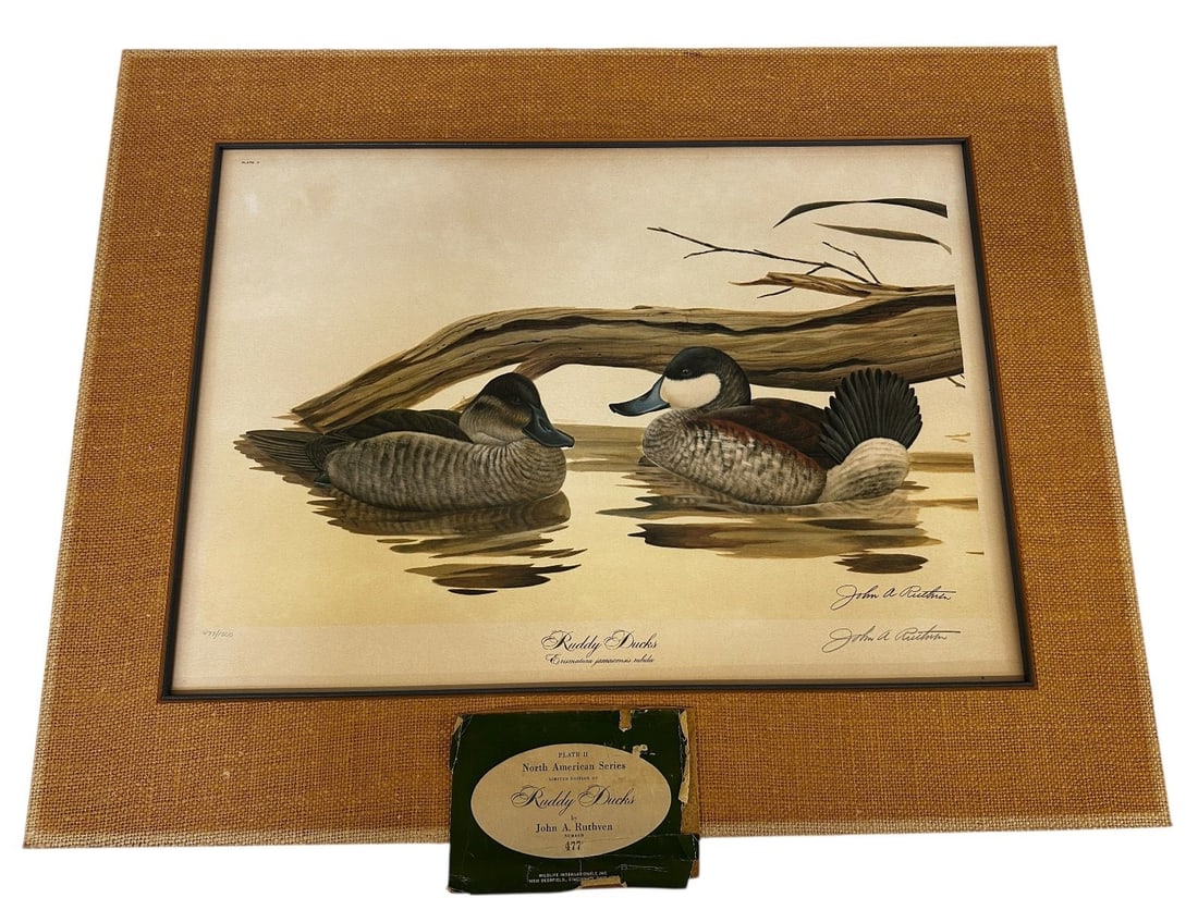 John Ruthven Lithograph "Ruddy Ducks": John Ruthven Lithograph "Ruddy Ducks": Matted, unframed and measuring 27.25 x 21.5". Numbered 477/1000.