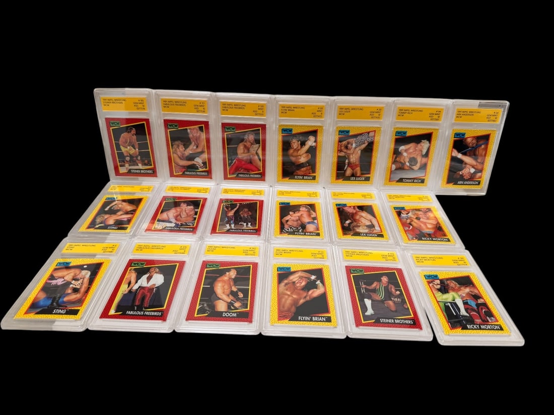 (19) 1991 Impel Wrestling WCW Graded Cards: (19) 1991 Impel Wrestling WCW Graded Cards: All GM MT 10.