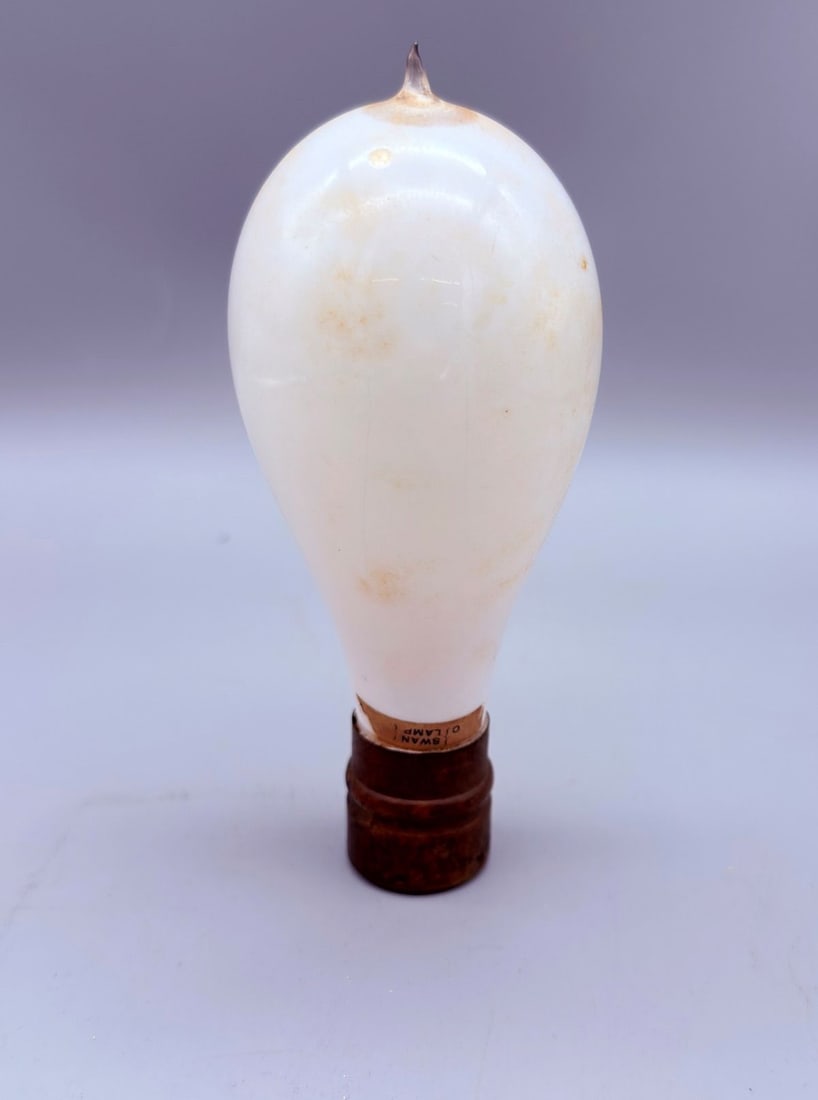 Swan Incandescent Light Bulb with Brass Screw Base (1 of 3)