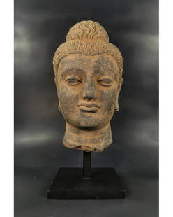 GANDHARA LIFE SIZE SCHIST HEAD OF BUDDHA: Ca.200 AD Rare life-size Gandhara schist stone Head of a Buddha, finely carved details. Good Condition; On custom made stand ; Size: 375mm/285x150mm( without stand); 14.76/11.22x 5.91in; over 5kg; Pro