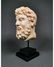 A ROMAN MARBLE HEAD OF HERCULES - 3