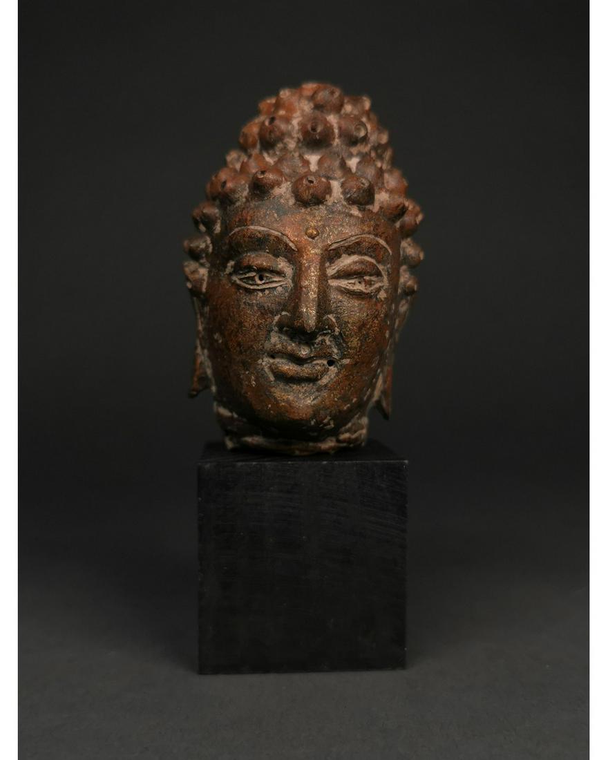 GANDHARA BRONZE HEAD: Ca.100-300 AD(Ancient Region of Gandhara; Modern day Pakistan, Afghanistan) A beautiful bronze head, originally part of a bigger figurine, depicting Buddha with the charateristic snail-shell curls; he