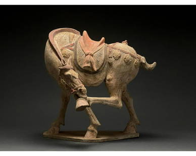 STUNNING CHINESE TANG DYNASTY POTTERY HORSE - TL TESTED: Ca. 618 - 907 AD. Chinese Tang Dynasty. An elegant hollow-moulded terracotta horse. This horse is modelled in a stretched pose, captured mid-action as it bites at its hind leg. The horseâ€™s