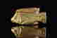 item-131419251=5