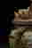 item-135919257=7
