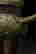 item-135919257=8