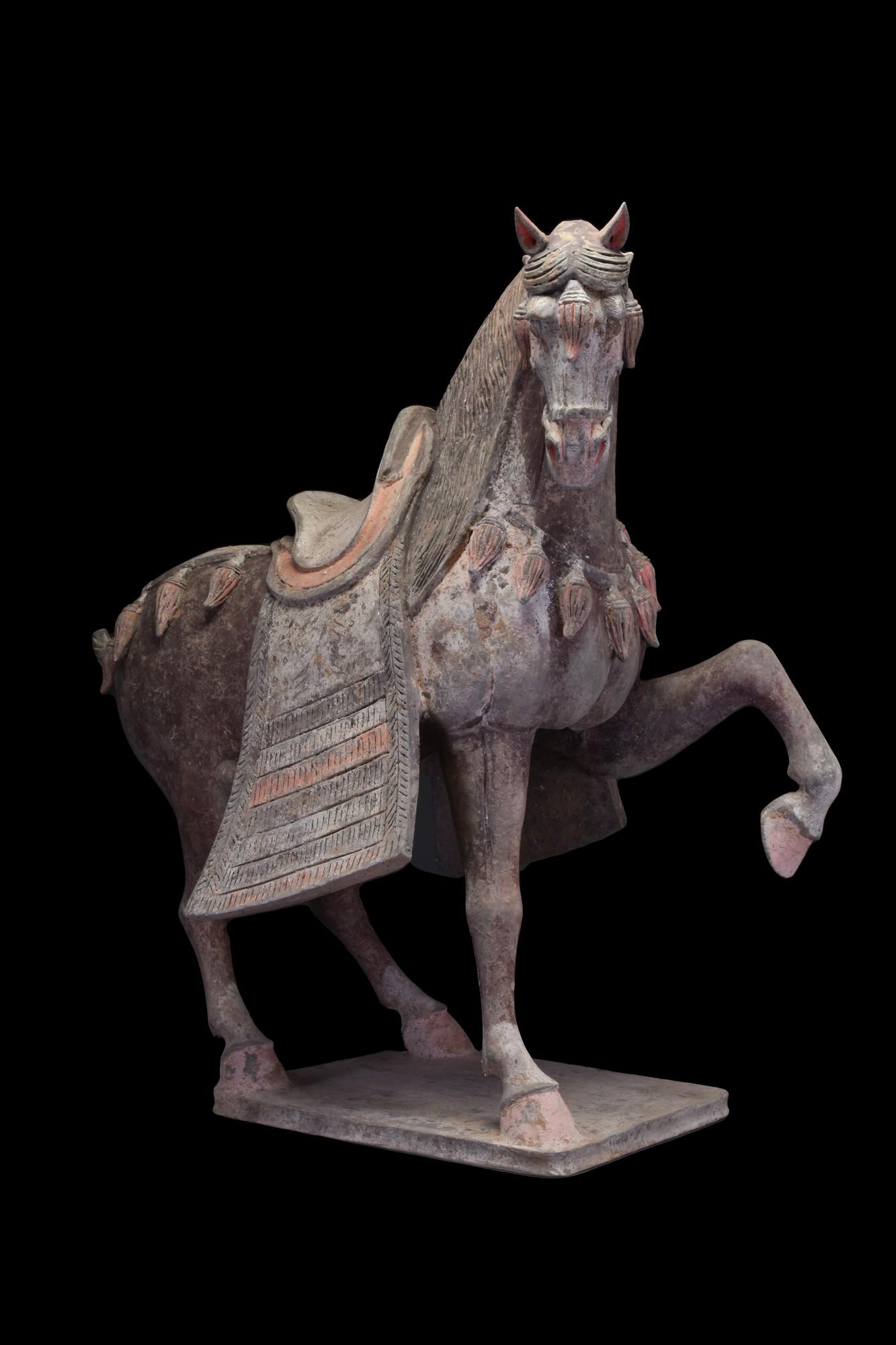 CHINESE TANG DYNASTY TERRACOTTA PRANCING HORSE TL TESTED (0435) on