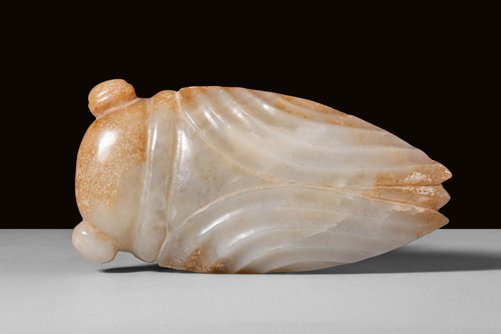 CHINESE JADE CICADA (1 of 3)