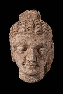 GANDHARAN STONE HEAD OF BUDDHA: Ca. AD 3-4th century or later. A carved stone head of the Buddha depicting the figure with a calm and meditative expression. The face is rendered with soft features, downcast almond-shaped eyes, gentl