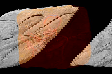 EGYPTIAN SANDSTONE RELIEF WITH WORSHIPPER: Amarna Period, Ca. 1353 - 1336 BC. A sandstone relief carved in sunk relief with a bust-length figure in profile to the left, the head shaven and both forearms raised with open hands before the face,