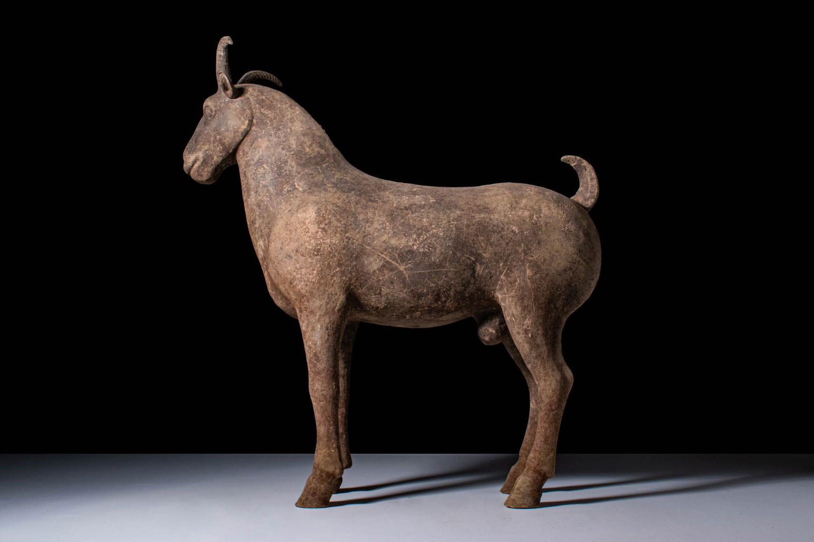 CHINESE HAN DYNASTY TERRACOTTA RAM - TL TESTED