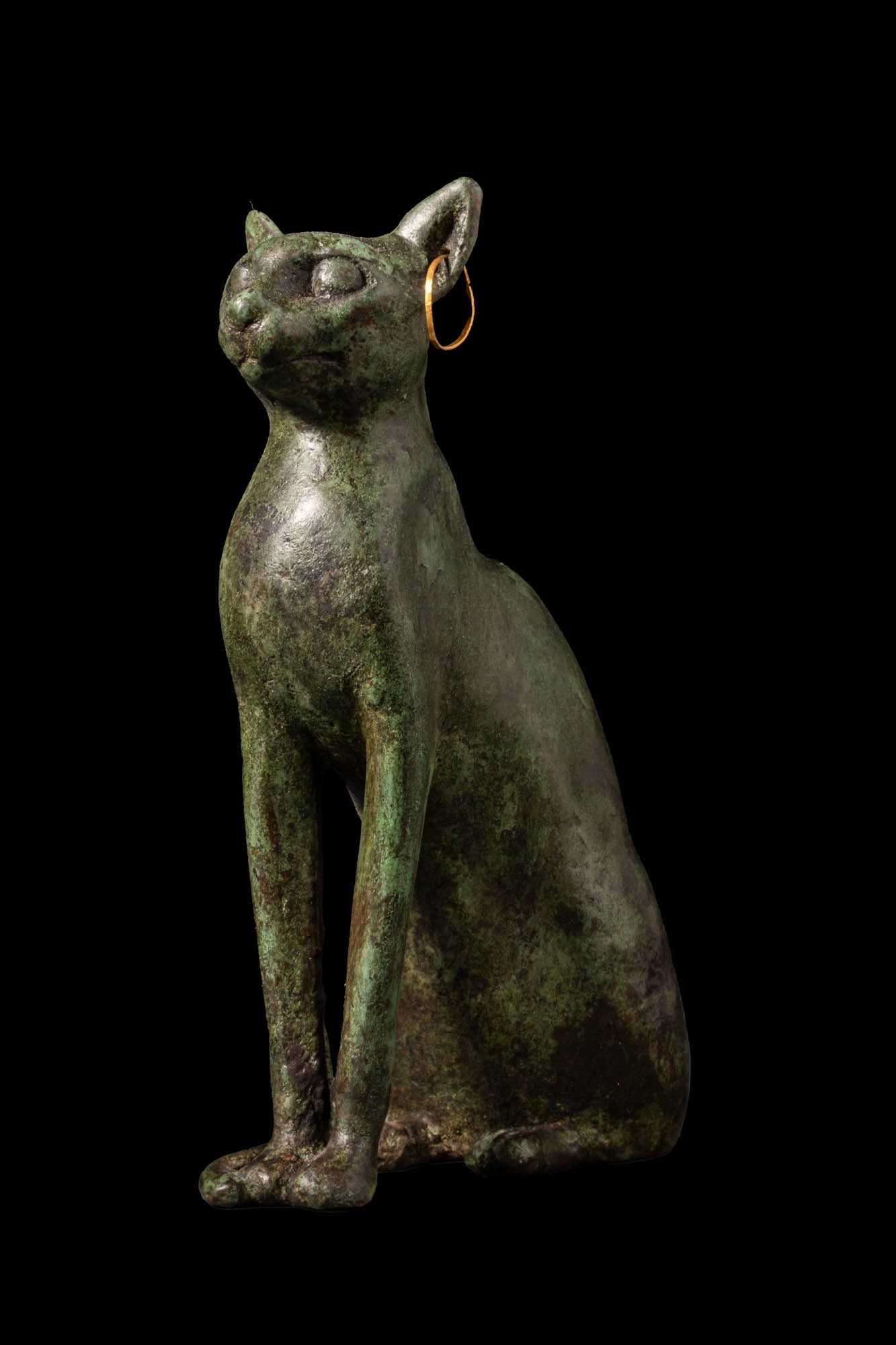 RARE EGYPTIAN BRONZE CAT FIGURE WITH GOLD EARRINGS: Late Period, Ca. 664 - 332 BC A fine bronze figure of a seated cat with an elongated body and slender forelegs set close together, the tail drawn forward along the right haunch. The small head is