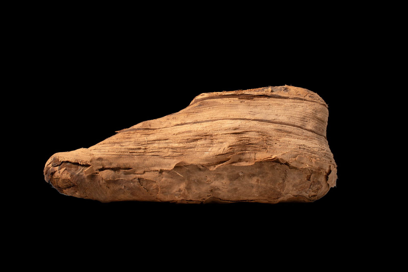 EGYPTIAN MUMMY OF IBIS - 4