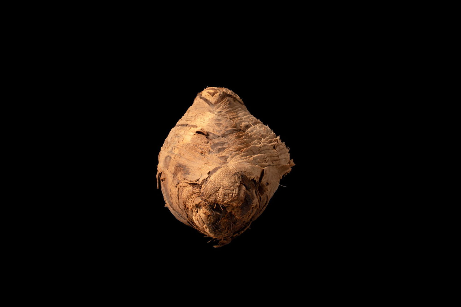 EGYPTIAN MUMMY OF IBIS - 5