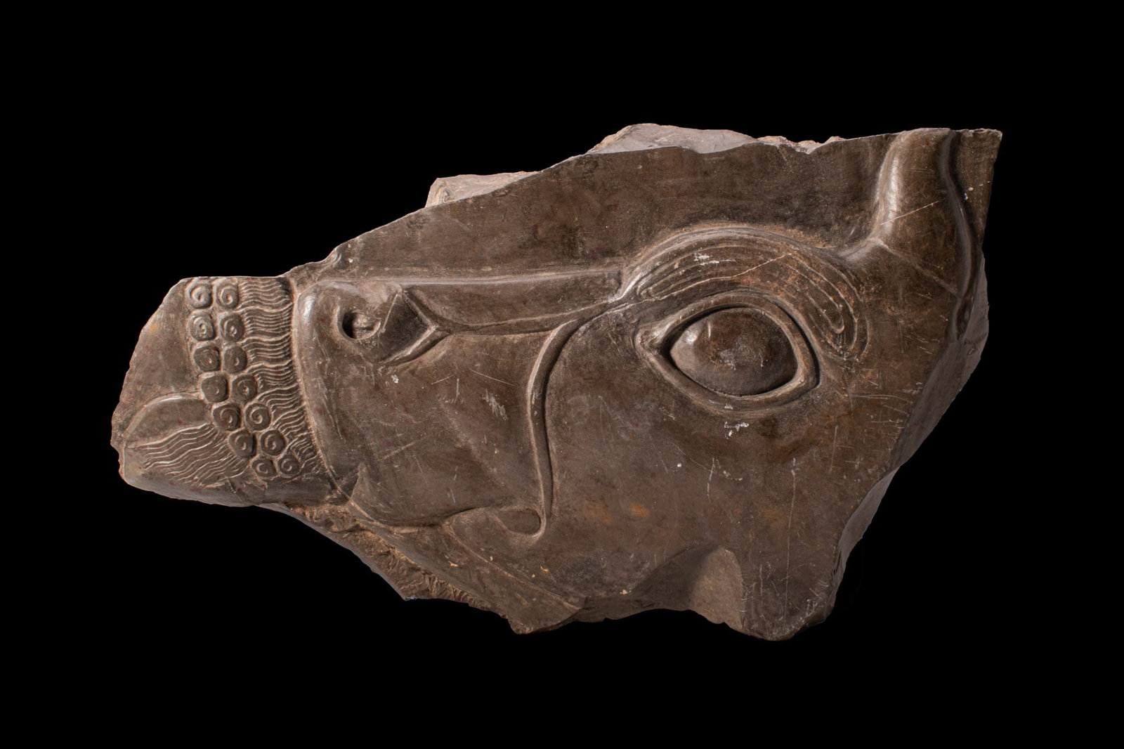 NEO-ASSYRIAN STONE RELIEF WITH A BULL: Ca. 800 - 600 BCA stone relief fragment carved with the head of a bull in profile, with a large almond-shaped eye, prominent cheek and blunt muzzle. A drilled nostril sits below a straight nasal ridge