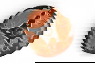 APULIAN RED-FIGURE TERRACOTTA FISH PLATE