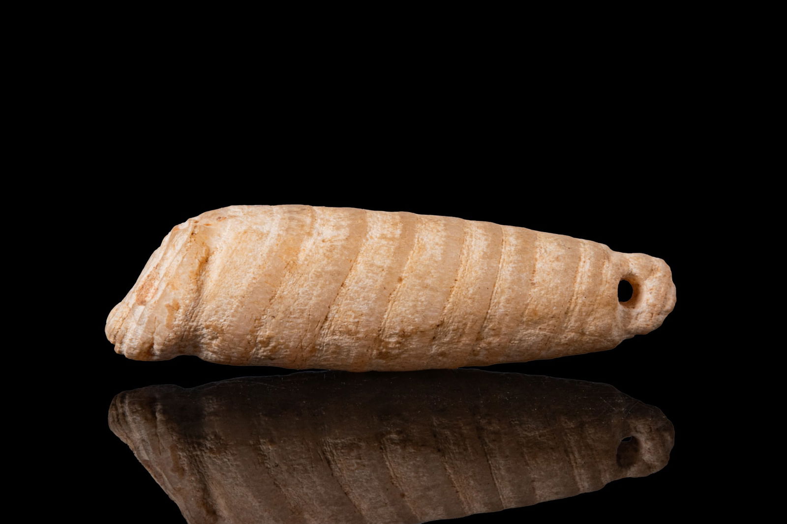 MESOPOTAMIAN CREAM STONE SHELL AMULET (1 of 3)