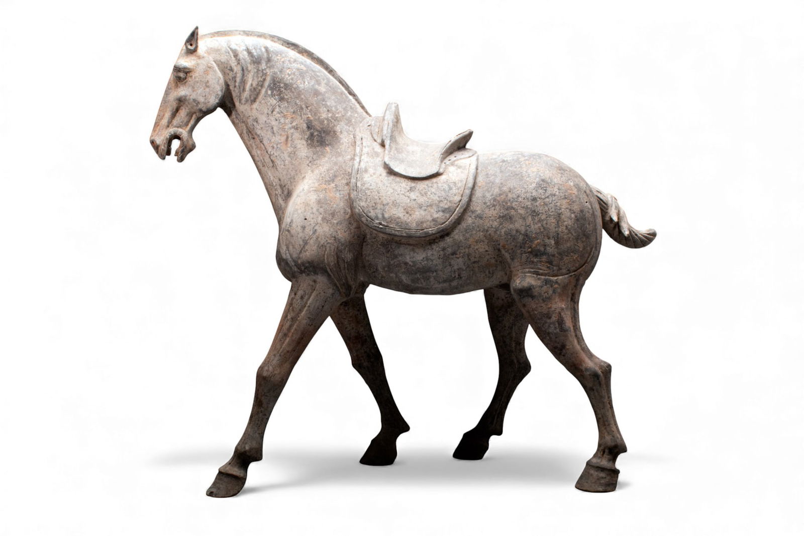 CHINESE TERRACOTTA HORSE - TL TESTED: Tang Dynasty, Ca. AD 618-907 A large terracotta horse. The animal is in motion, mid-gallop. The horse is saddle with the overall muscle and facial features constructed in great detail. Size: 620mm x 7