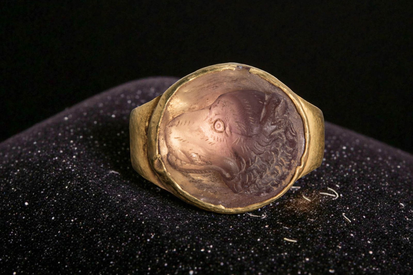 ROMAN AMETHYST CAMEO OF A BEAR IN HIGH KARAT GOLD RING: Ca. AD 1 - 200. An amethyst cameo carved in high relief with the head of a bear in profile, set in a possibly later gold ring with widening shoulders and a plain oval bezel. Size: D:17.12mm / US: 6 3/