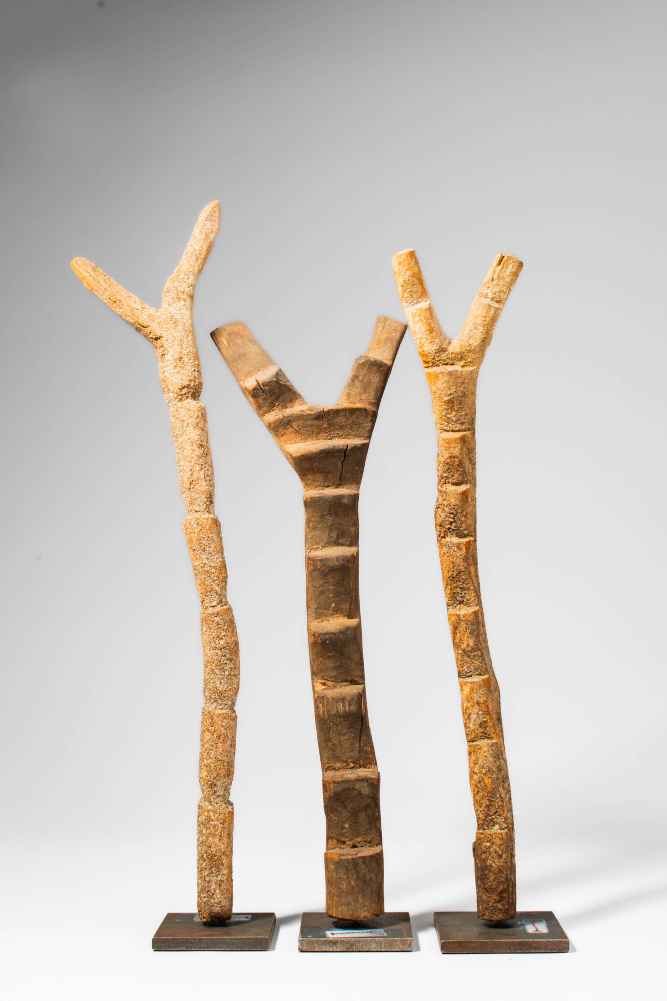 GROUP OF THREE DOGON LADDERS: Ca. 20th century AD. >A group comprising three carved wooden ladders in elongated form, each terminating in a bifurcated forked top. The shafts are irregular and slightly curved, with incised bands