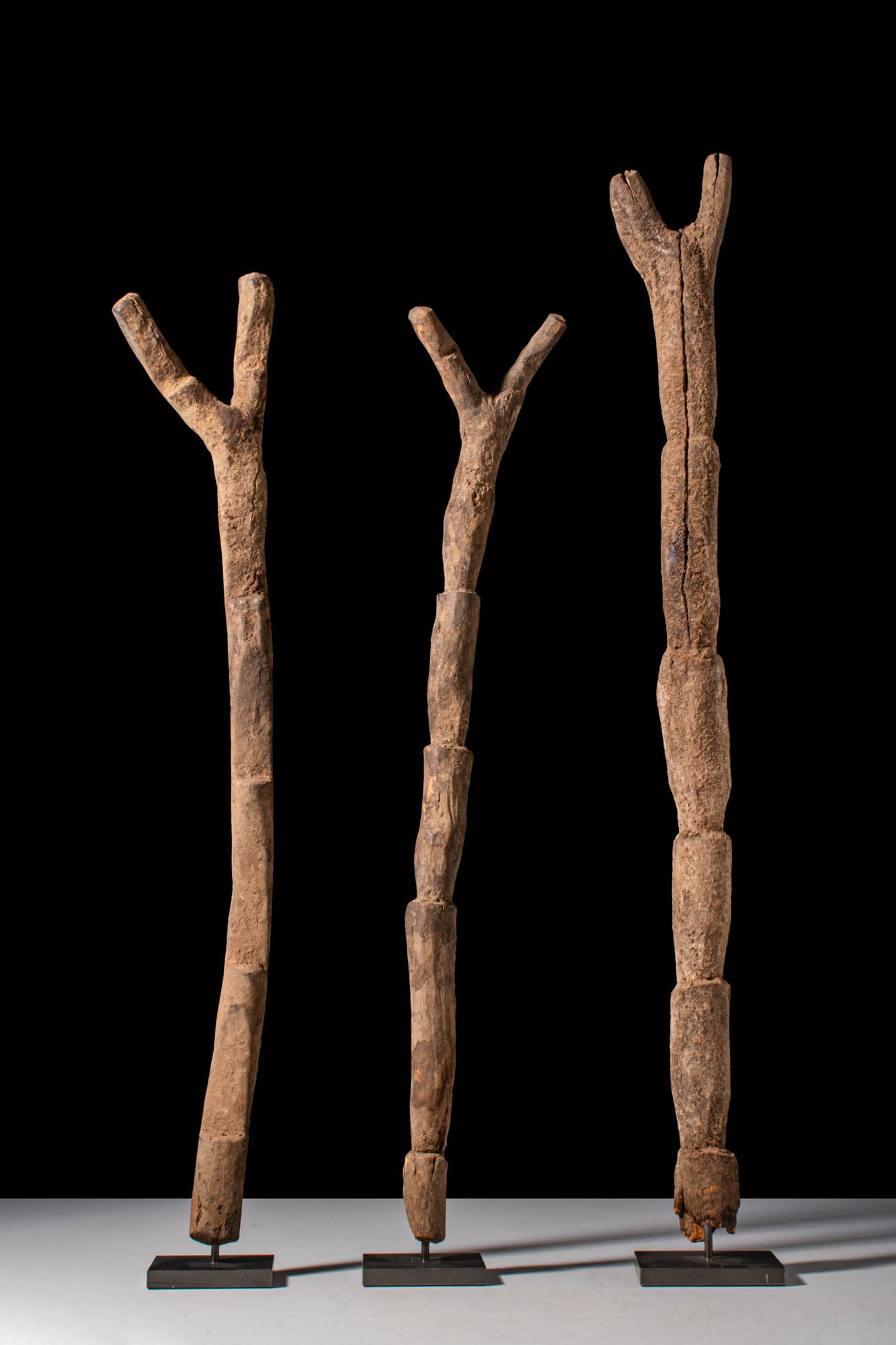 GROUP OF MALI DOGON LADDERS: Ca. 19th century AD. A group of three Dogon ladders carved from tree trunks with bifurcated tops, traditionally used to access granaries and dwellings. Size: 490-570mm x 65-90mm; Weight: