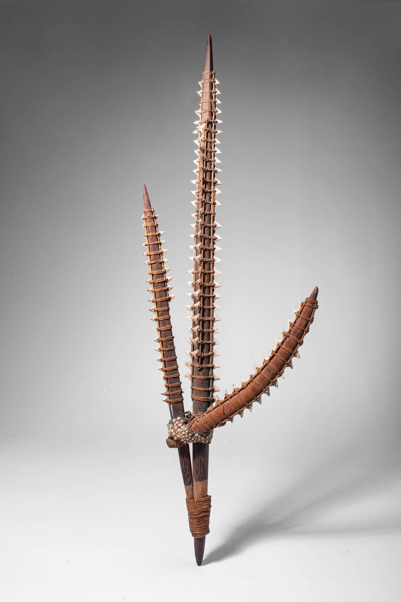 MICRONESIAN KIRIBATI TE UNUN WEAPON: Ca. 19th century AD. >A three-pronged te unun weapon from Kiribati, constructed from carved wooden shafts armed with rows of shark teeth secured by tightly bound fibre lashings. The central prong