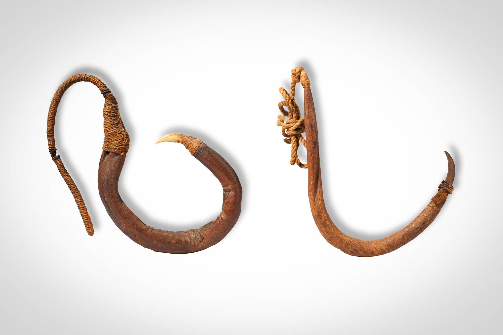 TWO MAORI FISH HOOKS: Ca. 19th - 20th century AD. >A group of two Maori fish hooks. Each hook is carved from wood in a curved form with a sharply pointed tip. The hooks are fitted with fibre lashings securing bone barbs. O